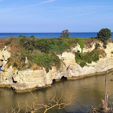 Detente Saint-Georges-de-Didonne